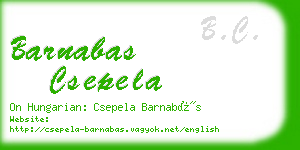 barnabas csepela business card